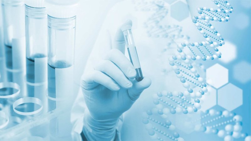 20191216_041515_513115_xet-nghiem.max-800x800