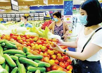 Trung tâm Y tế Châu Phú tuyên truyền An toàn vệ sinh thực phẩm dịp Tết Nguyên đán