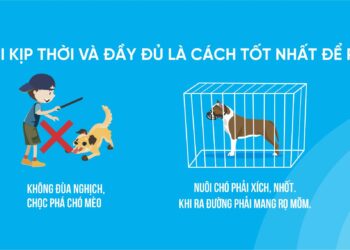 Băng rôn: Tiêm vắc xin phòng dại kịp thời và đầy đủ là cách tốt nhất để phòng tránh bệnh dại