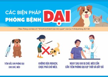 Infographic: Các biện pháp phòng bệnh dại