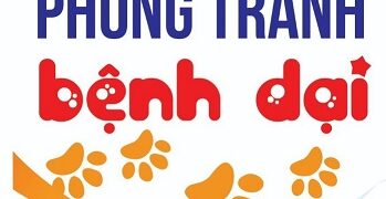 Tờ bướm: Phòng, tránh bệnh dại