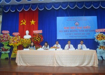 Đại hội đại biểu Hội Điều dưỡng tỉnh An Giang lần thứ V, nhiệm kỳ 2024 – 2029