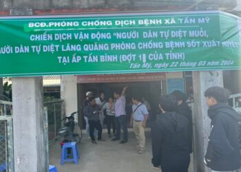 Vệ sinh môi trường phòng bệnh sốt xuất huyết