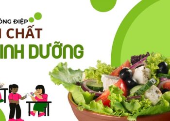 Clip – Thông điệp vi chất dinh dưỡng năm 2024
