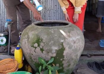 Phú Tân tích cực phòng, chống sốt xuất huyết