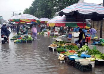 Phòng tránh ngộ độc thực phẩm trong mùa bão, lụt