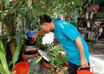 Phường Bình Đức thực hiện chiến dịch vệ sinh môi trường diệt lăng quăng đợt I năm 2025