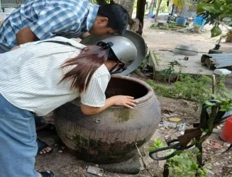 Nhà Bàng thực hiện chiến dịch diệt lăng quăng