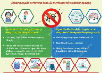 Infographic: Các biện pháp phòng, chống dịch bệnh Chikungunya