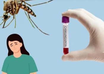 Chủ động ứng phó, Việt Nam sẵn sàng ngăn chặn dịch Chikungunya