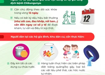 Infographic: Khuyến cáo phòng bệnh Chikungunya