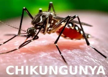 Khuyến cáo phòng chống bệnh Chikungunya