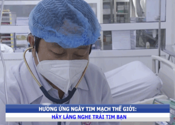 Clip: Hãy lắng nghe trái tim bạn