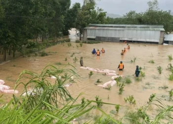 Phòng tai nạn, dịch bệnh trong mùa mưa và lũ lụt