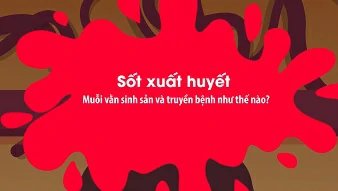 Clip – Những điều cần biết về Sốt xuất huyết