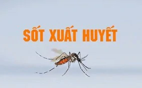 Clip: Thông điệp Phòng bệnh Sốt xuất huyết