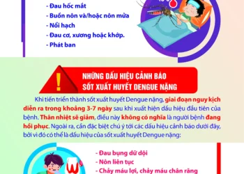 Infographic: Các triệu chứng của Sốt xuất huyết Dengue