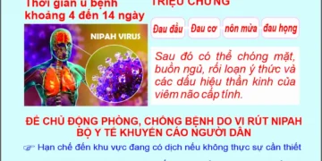 Infographic – Thông tin về dịch bệnh do vi rút Nipah – Bộ Y tế khuyến cáo phòng bệnh chủ động
