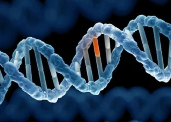 Ung thư và những câu hỏi thường gặp