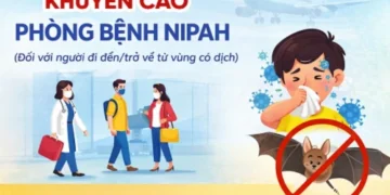 Infographic: Khuyến cáo phòng bệnh Nipah (Đối với người đi đến/ trở về từ vùng có dịch)