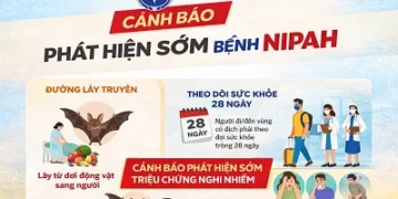 Infographic: Cảnh báo phát hiện sớm bệnh Nipah !
