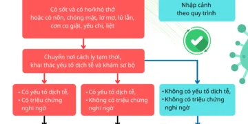 Infographic: Sơ đồ giám sát, phát hiện bệnh do vi rút Nipah tại cửa khẩu