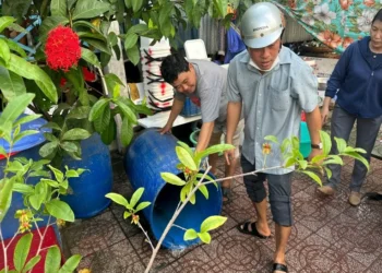 Trạm Y tế phường Châu Đốc chủ động phòng bệnh sốt xuất huyết