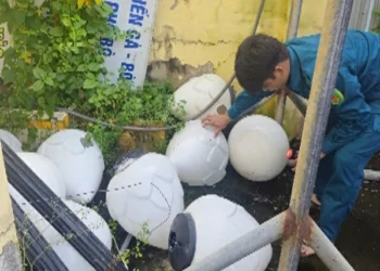 Điểm Trạm Y tế Mỹ Bình chủ động phòng bệnh sốt xuất huyết