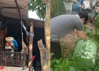 Phường Tịnh Biên phun hóa chất diệt muỗi phòng chống sốt xuất huyết