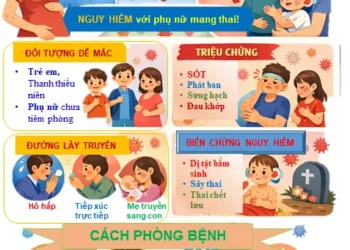 Bệnh Rubella (Sởi Đức)