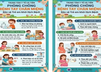 Tình hình bệnh tay chân miệng tại phường Hà Tiên, phường Tô Châu có xu hướng gia tăng