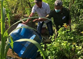 Trạm Y tế xã Phú Lâm xử lý ổ dịch sốt xuất huyết tại ấp Phú Đông