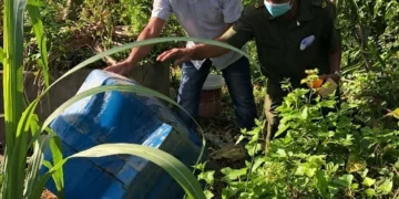 Trạm Y tế xã Phú Lâm xử lý ổ dịch sốt xuất huyết tại ấp Phú Đông