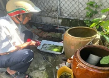 Phường Tịnh Biên chủ động ngăn chặn dịch bệnh sốt xuất huyết bùng phát tại khóm Phú Nhứt