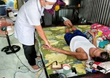 Lưu nháp tự động