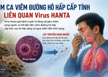 Cập nhật thông tin về chùm ca viêm đường hô hấp cấp tính liên quan vi rút Hanta