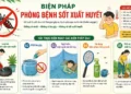 Biện pháp phòng bệnh Sốt xuất huyết