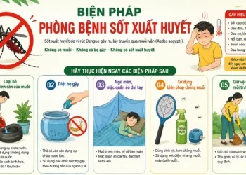 Biện pháp phòng bệnh Sốt xuất huyết