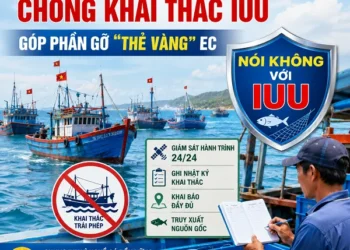 Thực hiện nghiêm quy định chống khai thác IUU, góp phần gỡ “thẻ vàng” EC