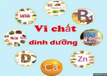 Vi chất dinh dưỡng – nền tảng cho sự phát triển tầm vóc, trí tuệ và sức khỏe
