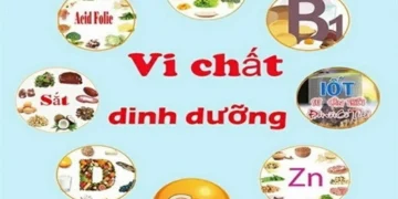 Vi chất dinh dưỡng – nền tảng cho sự phát triển tầm vóc, trí tuệ và sức khỏe