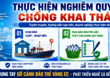 bang-rôn: Thực hiện nghiêm quy định chống khai thác IUU