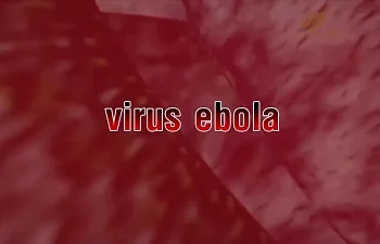 Clip – Thông điệp phòng chống Ebola