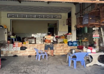 Tình hình sốt xuất huyết ở xã Tiên Hải có xu hướng gia tăng