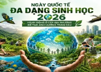 Clip: Hưởng ứng ngày Quốc tế Đa dạng sinh học 22/5/2026