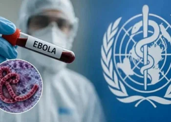 Tiếp tục cập nhật tình hình dịch bệnh Ebola