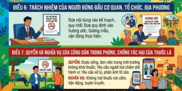 Tăng cường thực hiện Điều 6, Điều 7 Luật Phòng, chống tác hại của thuốc lá – Chung tay vì môi trường không khói thuốc