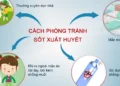 Phòng bệnh Sốt Xuất Huyết – chuyện không của riêng ai