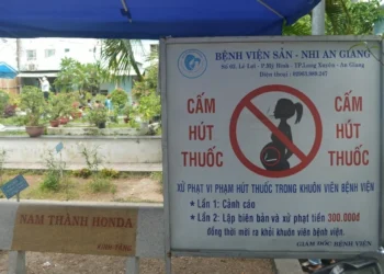 Quyền và trách nhiệm của người đứng đầu, người quản lý địa điểm cấm hút thuốc lá