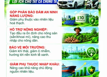 Infographic: Hưởng ứng sử dụng xăng sinh học E10